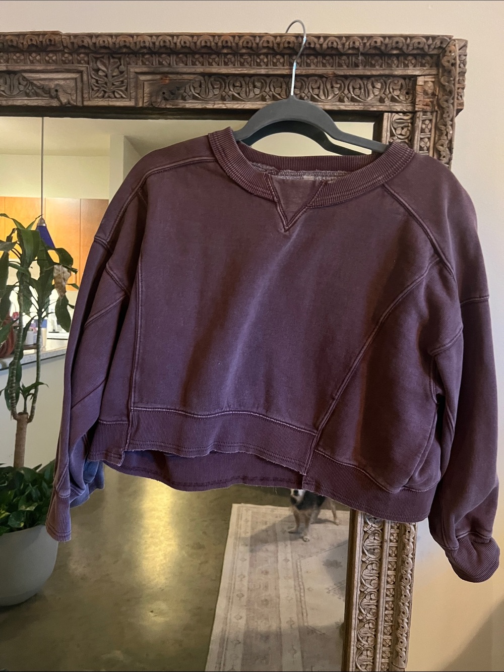 FP movement Intercept pullover